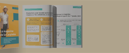 Prestations pour maladie ou invalidité versées par la Carpimko : impacts sur les cotisations, la retraite et la fiscalité à partir du 1er janvier 2025